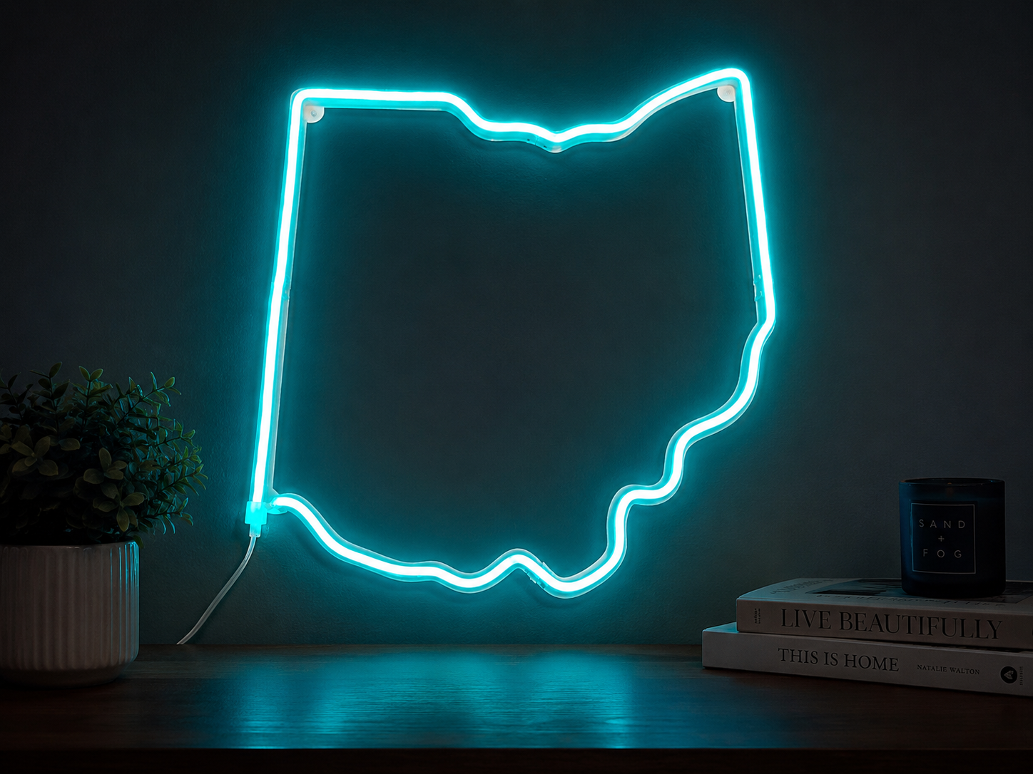 Ohio outline LED wall art display