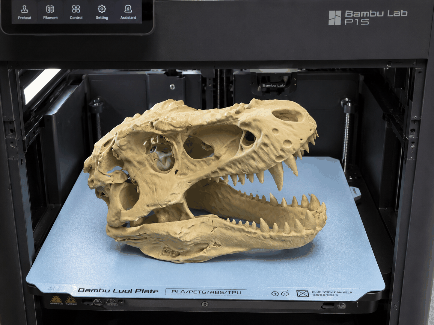 Raw T. rex skull print shown on a Bambu P1S cool plate