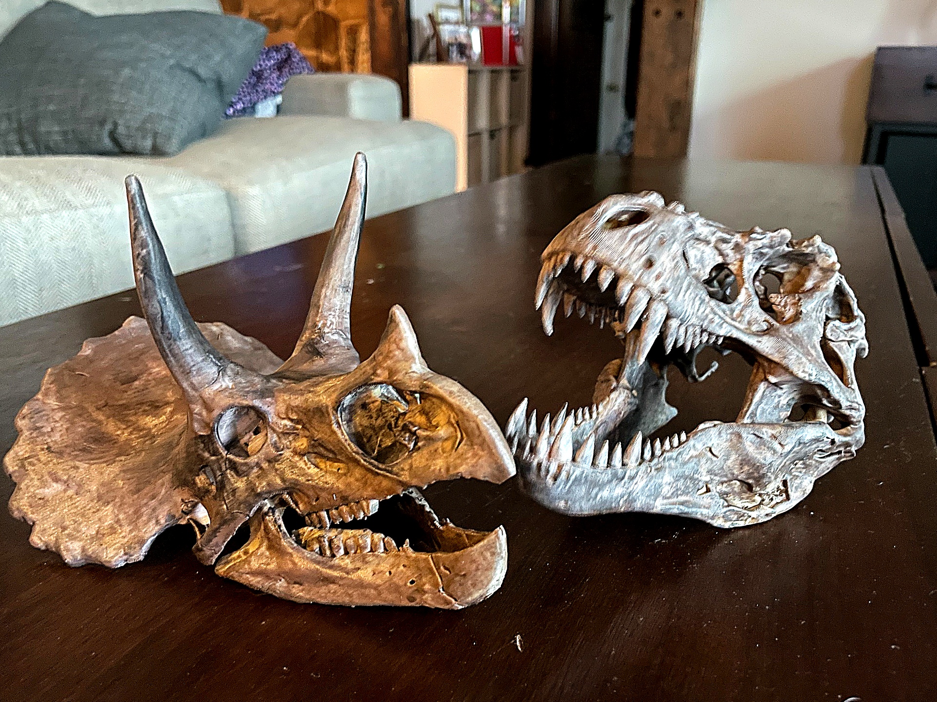 Painted dinosaur skull display pieces after finishing